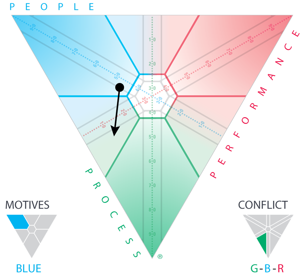 SDI 2.0 (Strengths Deployment Inventory) Facilitator